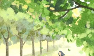 愿花飨逝者、春暖斯人