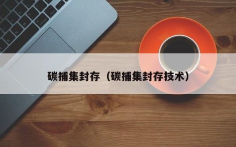 碳捕集封存（碳捕集封存技术）