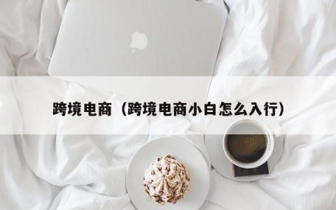 跨境电商（跨境电商小白怎么入行）