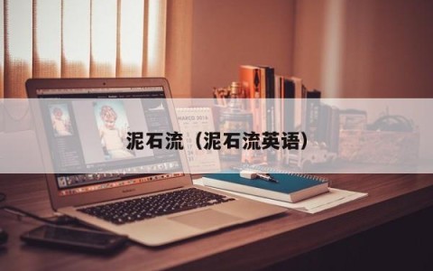 泥石流（泥石流英语）