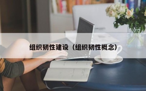 组织韧性建设（组织韧性概念）