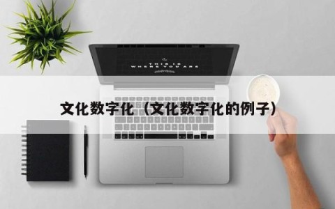 文化数字化（文化数字化的例子）
