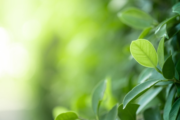 揭秘“十三张辅助软件开挂”原来可以开挂